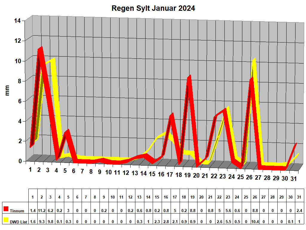 Regen Sylt Januar 2024