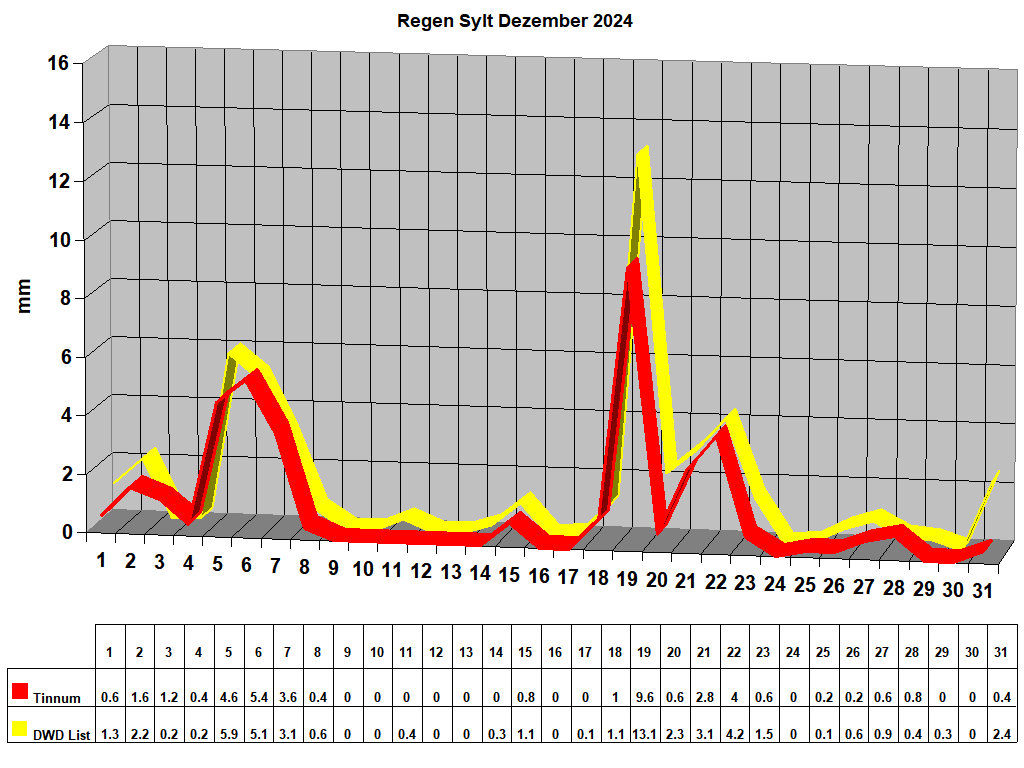 Regen Sylt Dezember 2024