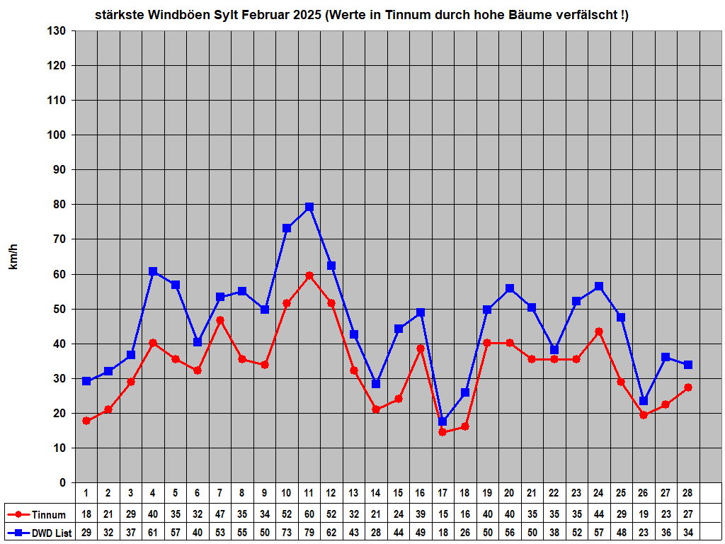 strkste Windben Sylt Februar 2025 (Werte in Tinnum durch hohe Bume verflscht !)