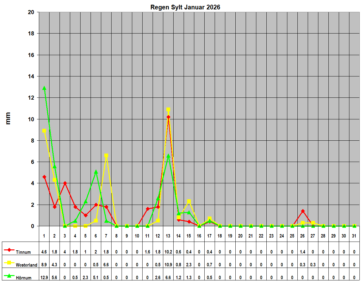 Regen Sylt Januar 2026