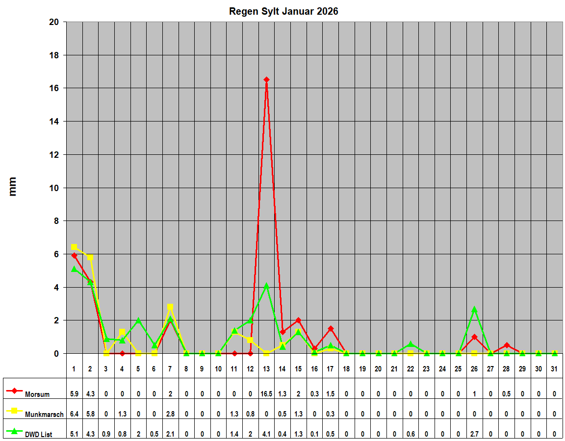 Regen Sylt Januar 2026